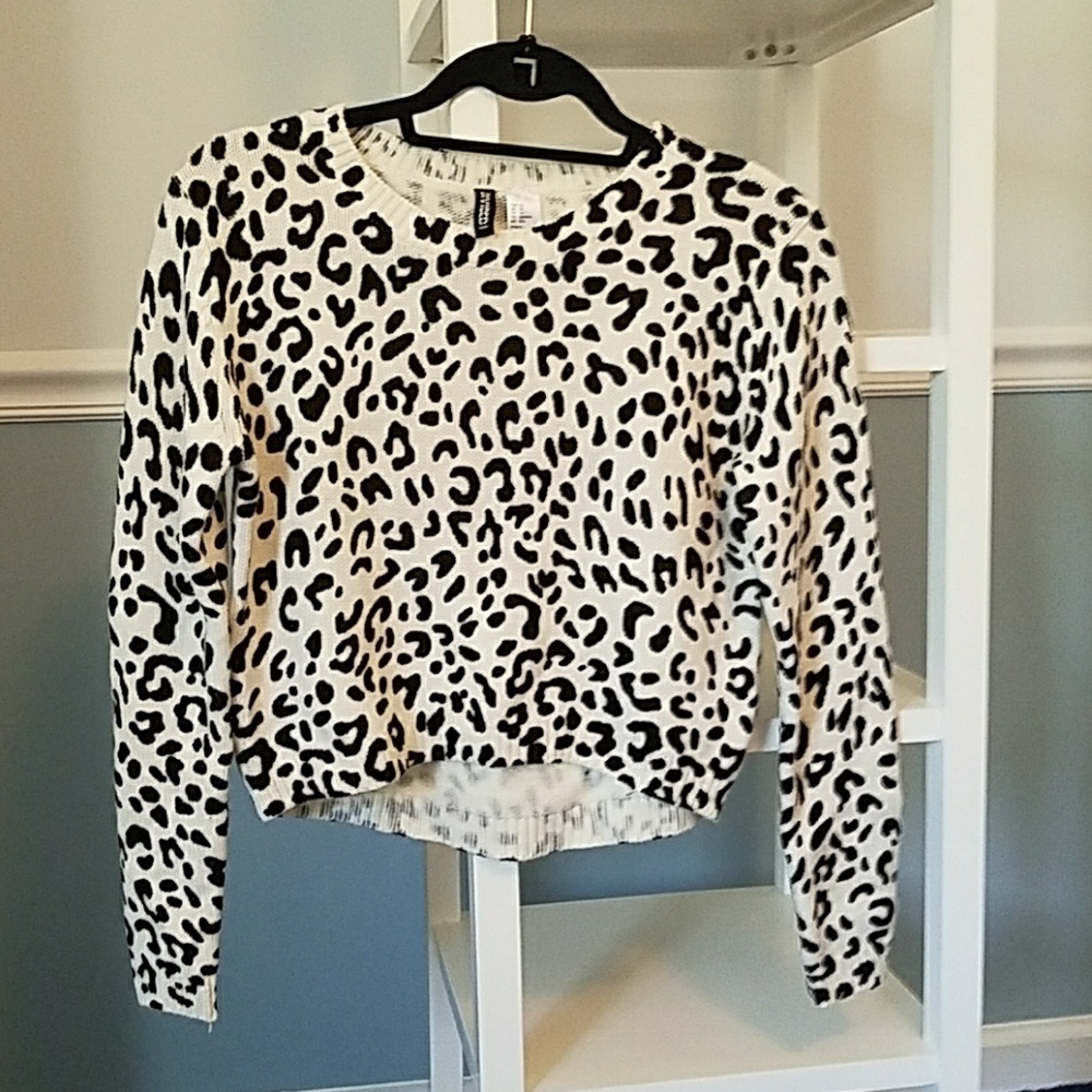 H&M Sweater